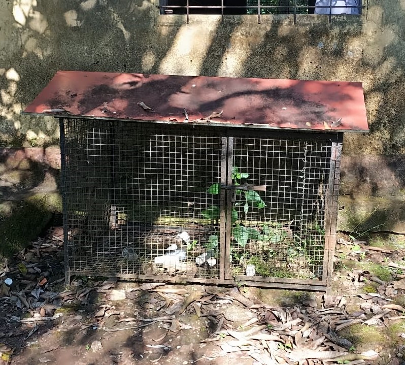 प्लॅस्टिक कचरा व्यवस्थापन 