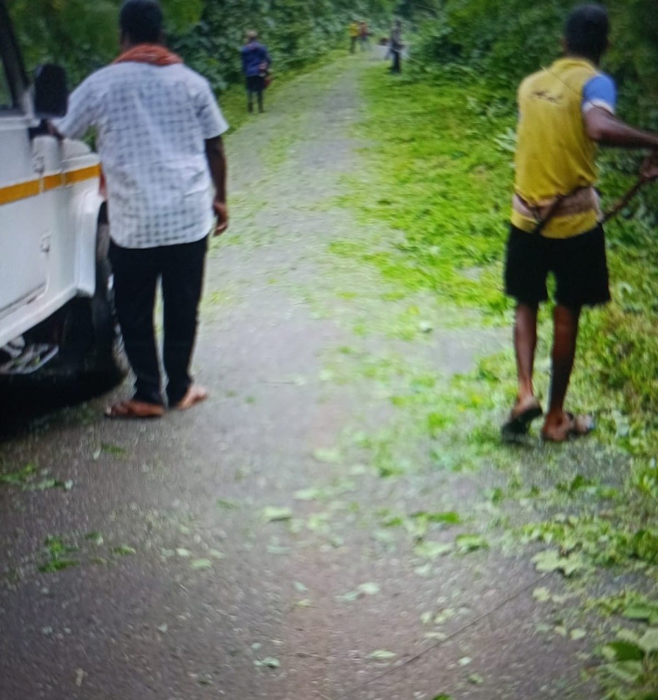 साफसफाई 