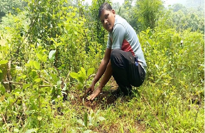 एक पेड माँ के नाम' उपक्रमाअंतर्गत वाशी गावामध्ये वृक्षारोपण . 